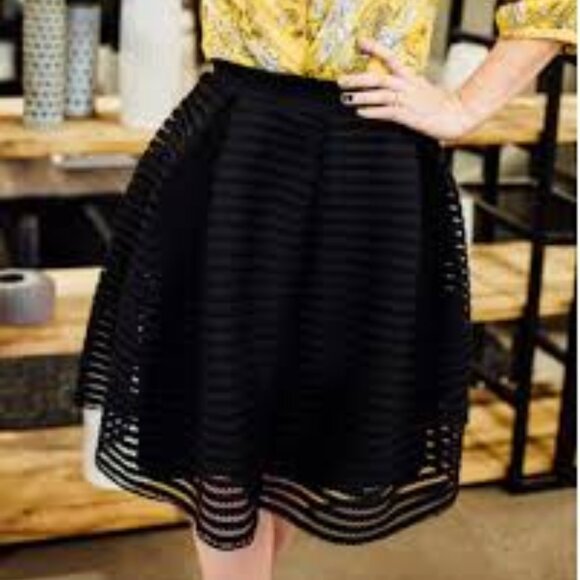 Maje Black Mesh Stripe 3D A-Line Midi Skirt (Model Jam/James) - Picture 8 of 8